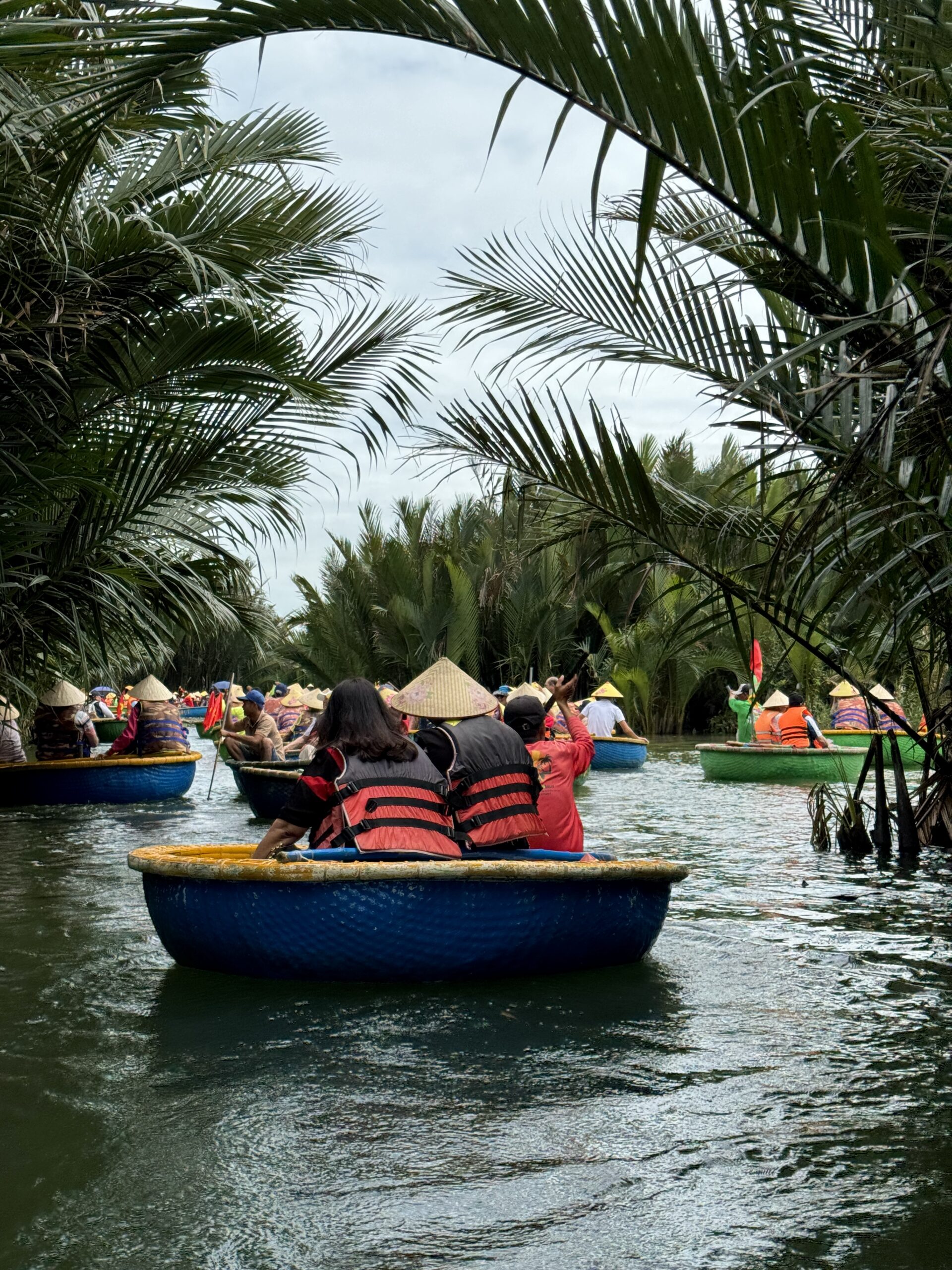 kokosovyj les v Hojane Vetnam