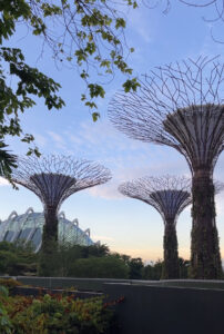 Gardens by the Bay