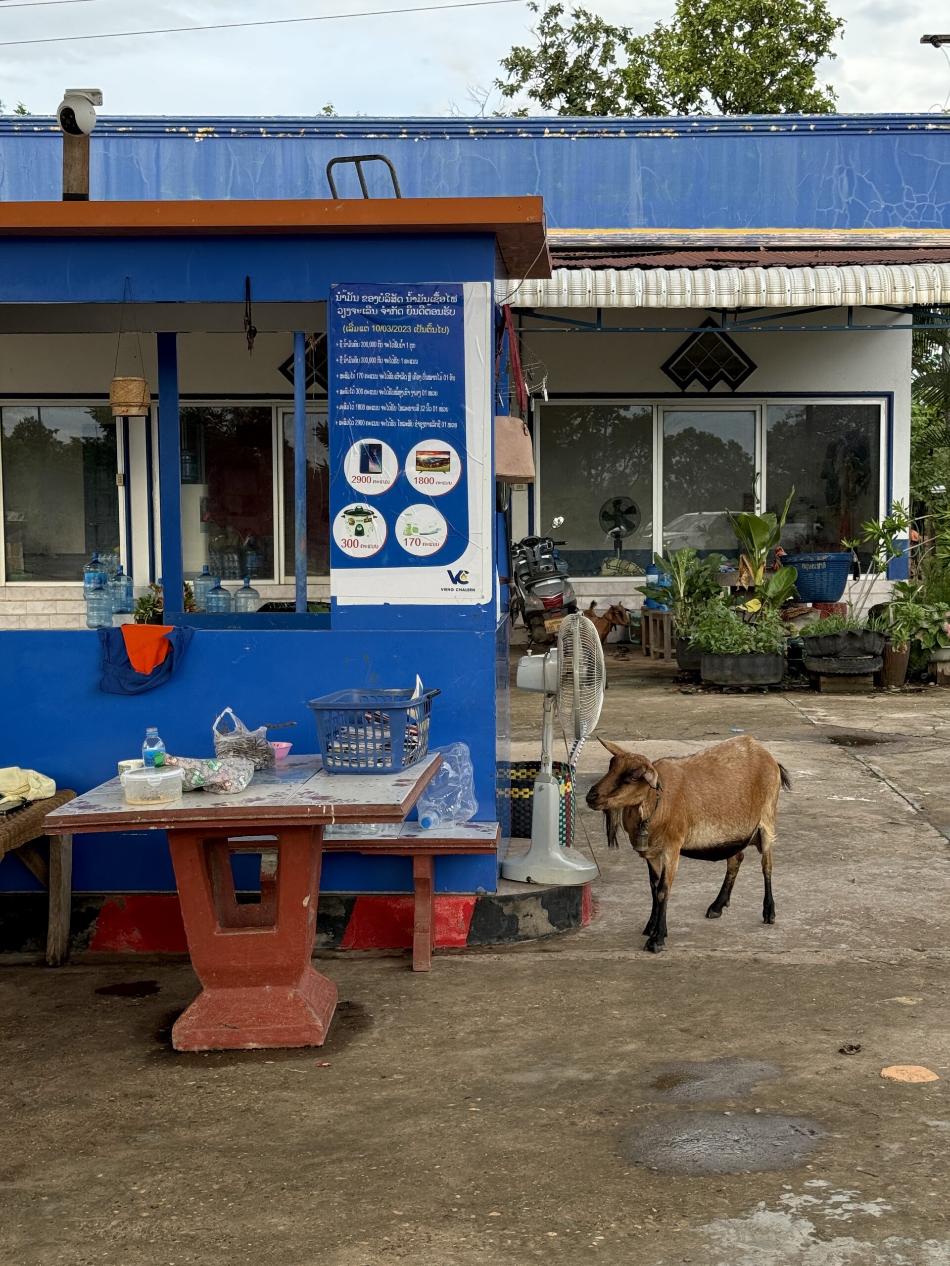 Laos