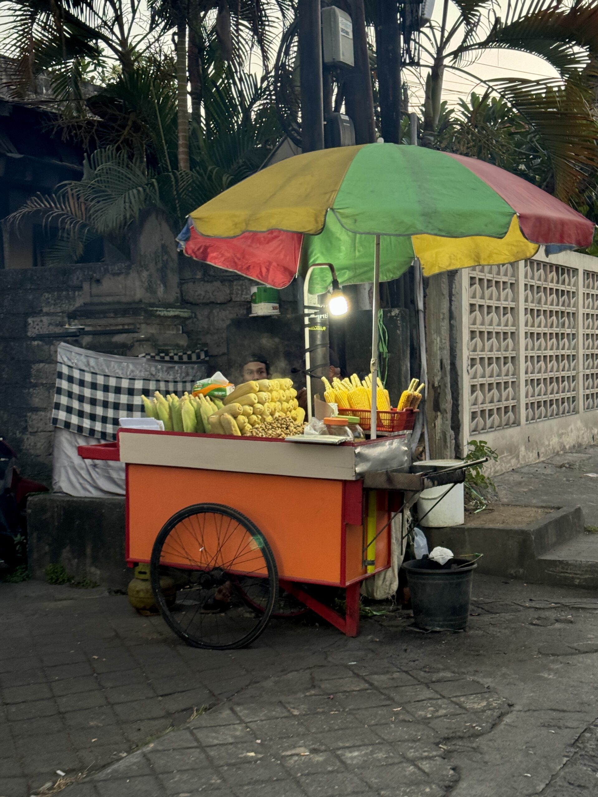 Ubud Bali Ulicy