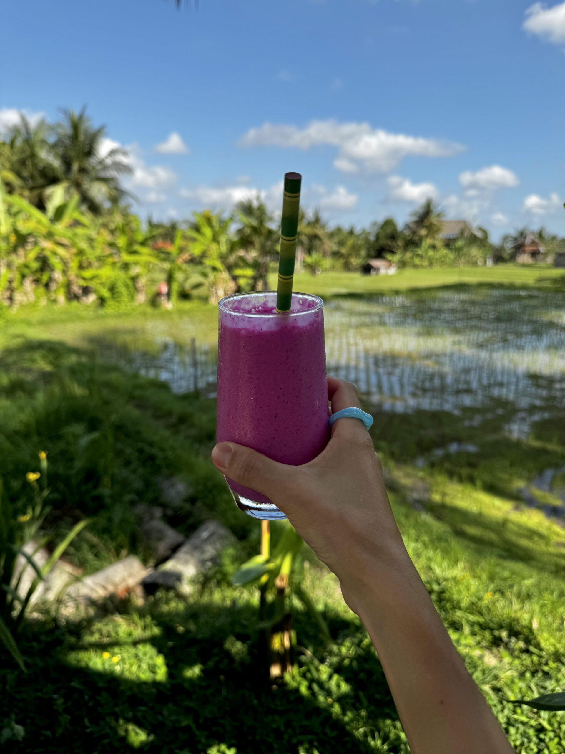 Ubud Bali risovye polya