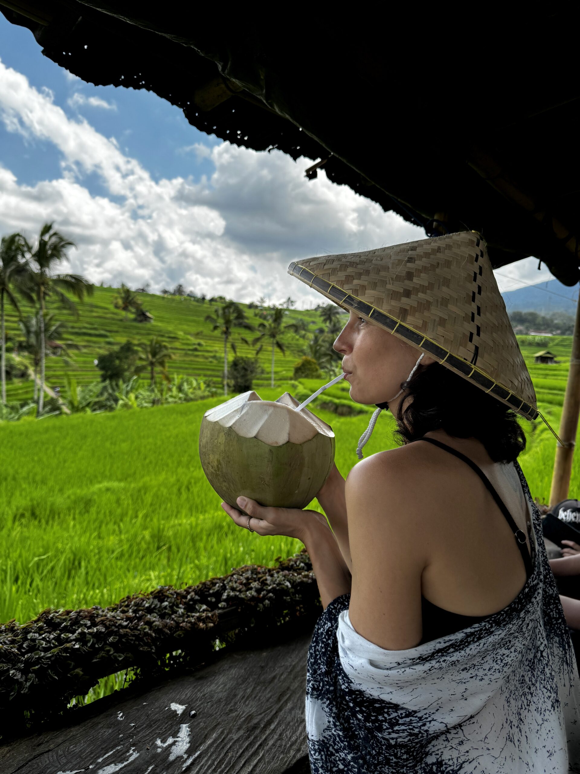 Ubud dostoprimechatelnosti
