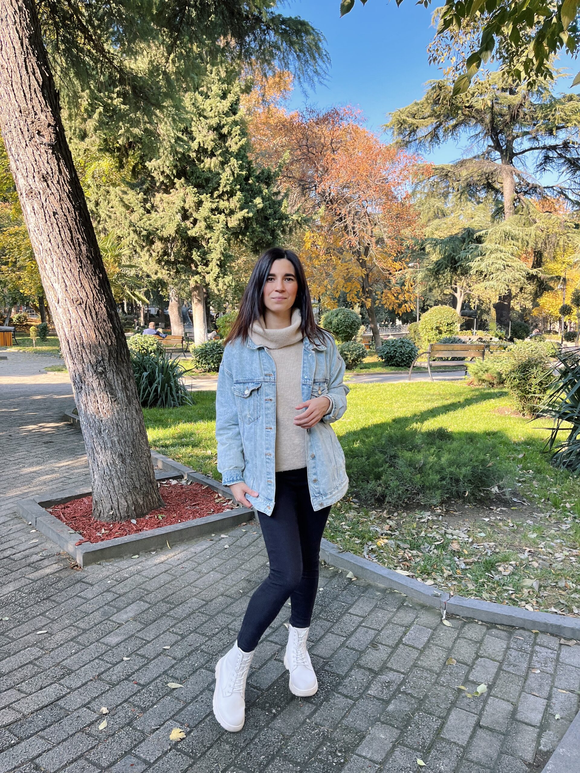 Районы Тбилиси: где лучше жить и остановиться туристу 10 Gruziya Tbilisi park Orbeliani