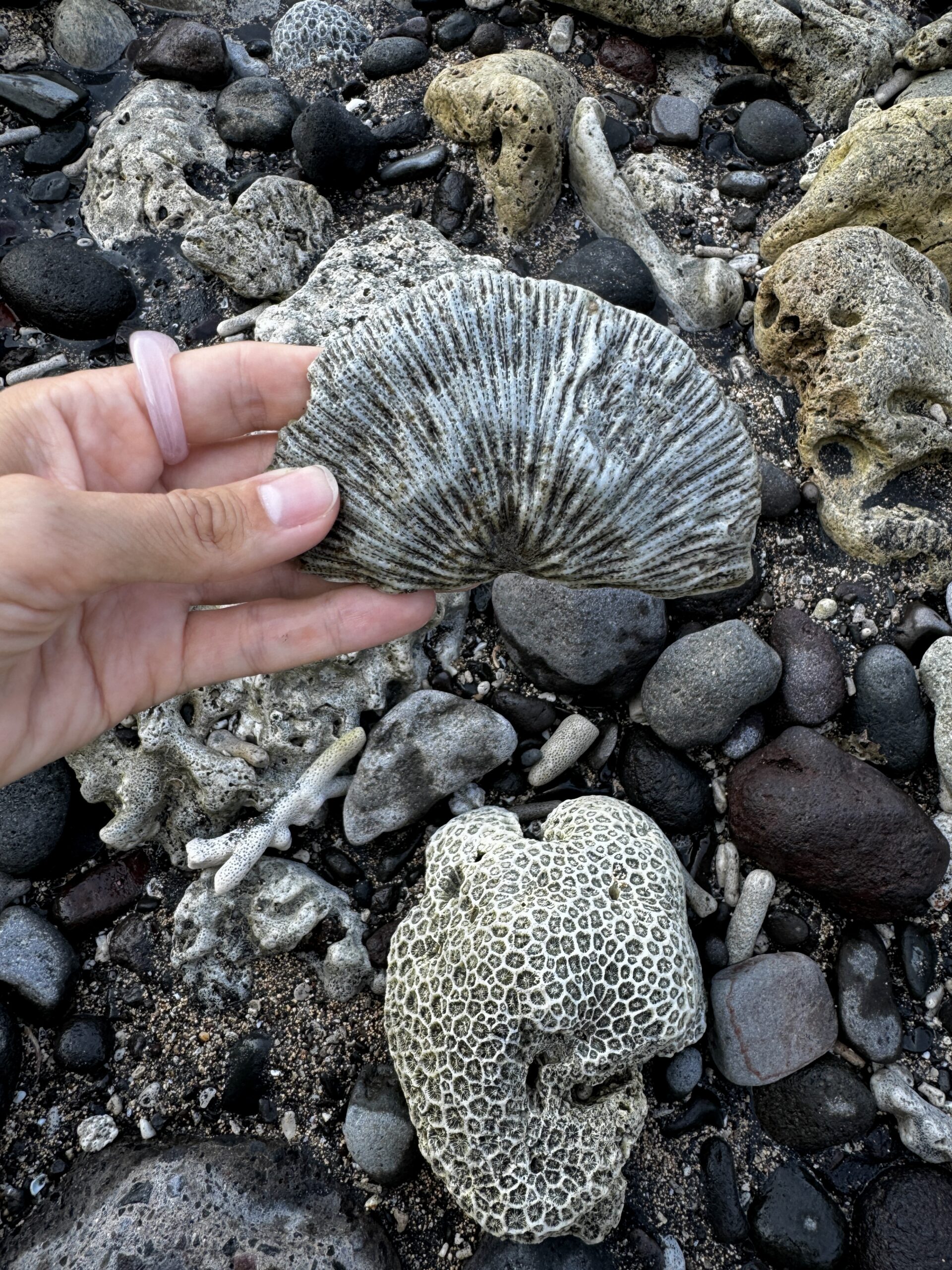 nizkij sezon na bali