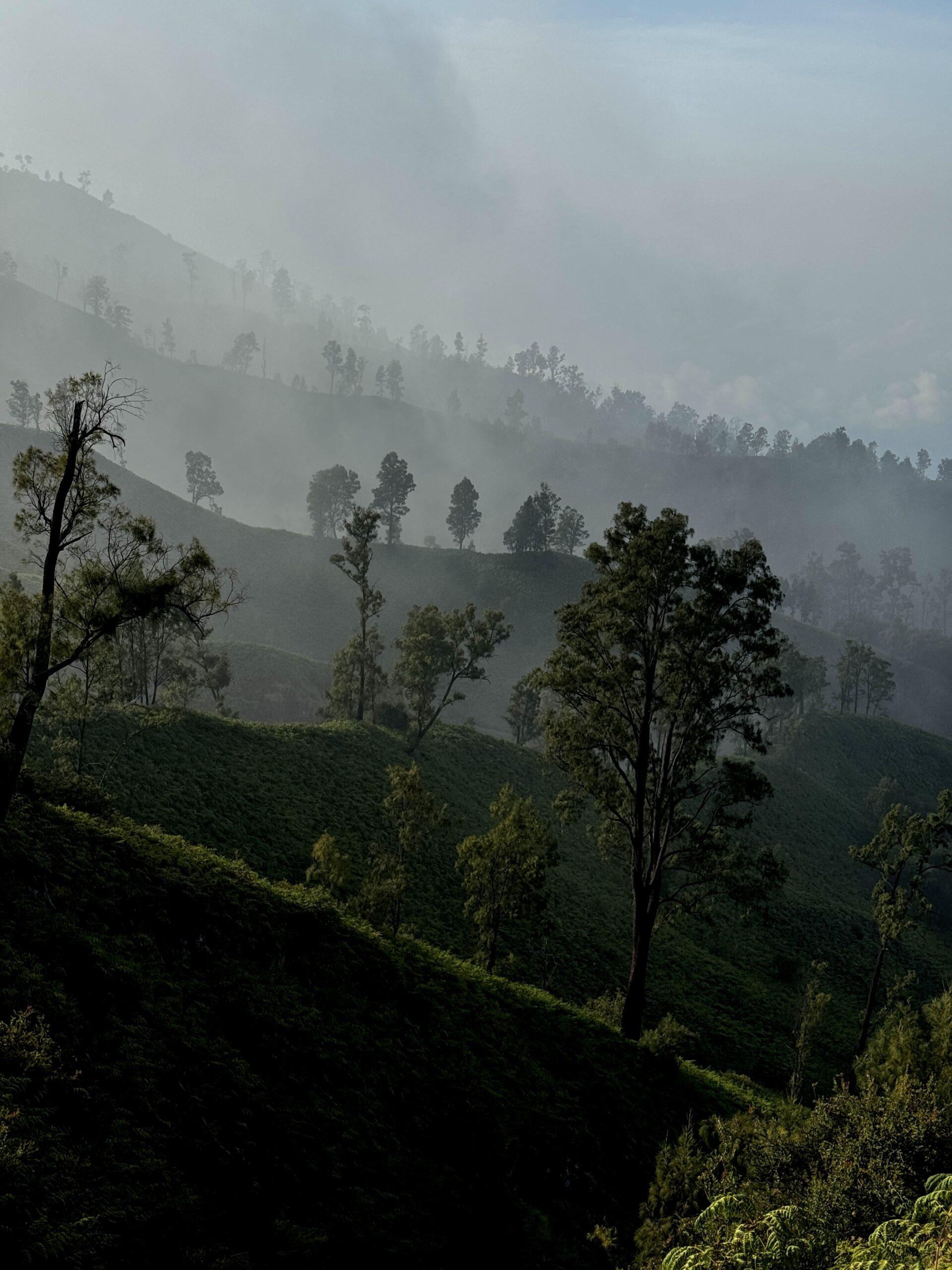 vudkan idzhen ostrov yava
