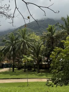 brazilya nalogovyi nomer cpf