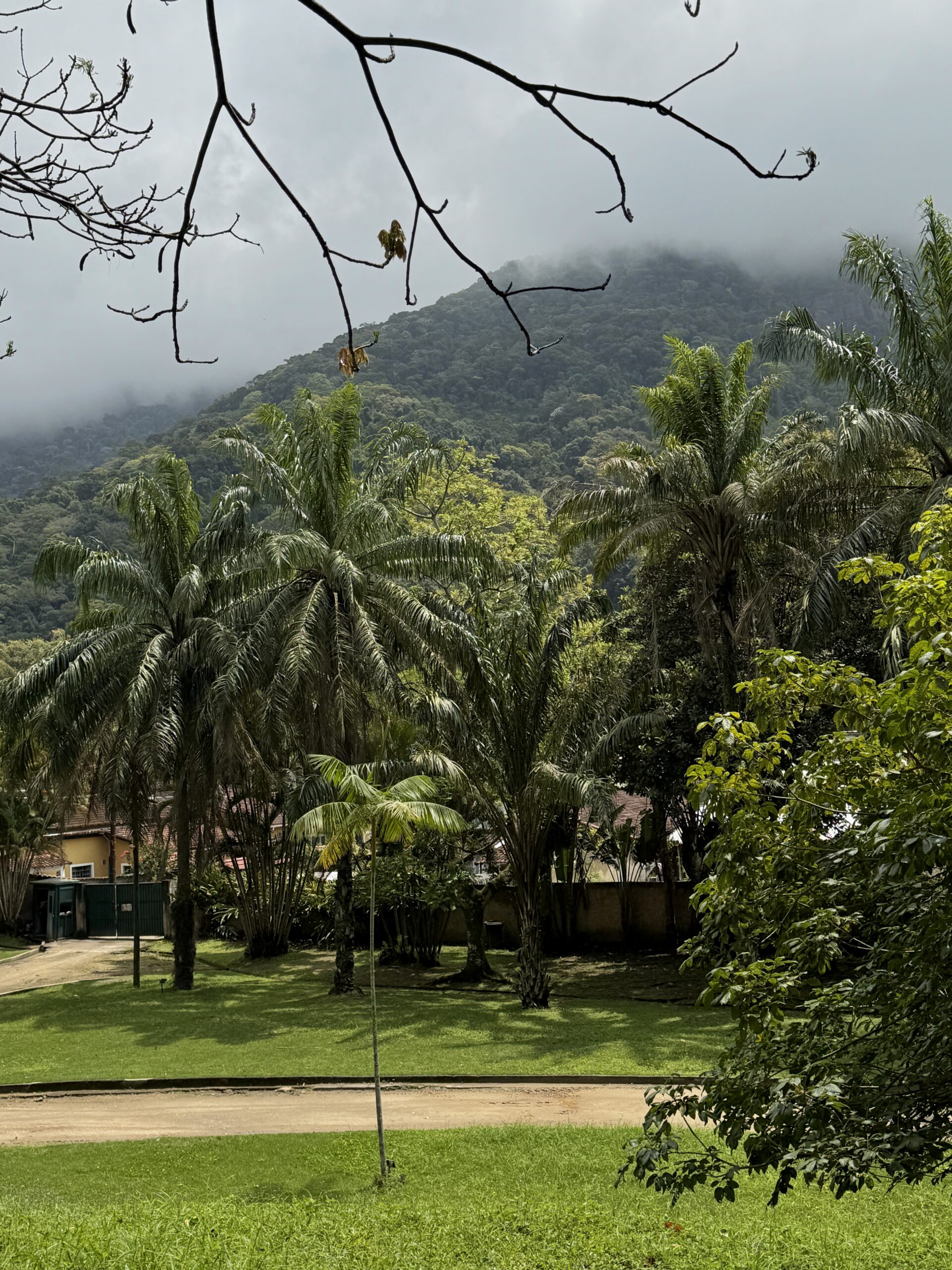 brazilya nalogovyi nomer cpf