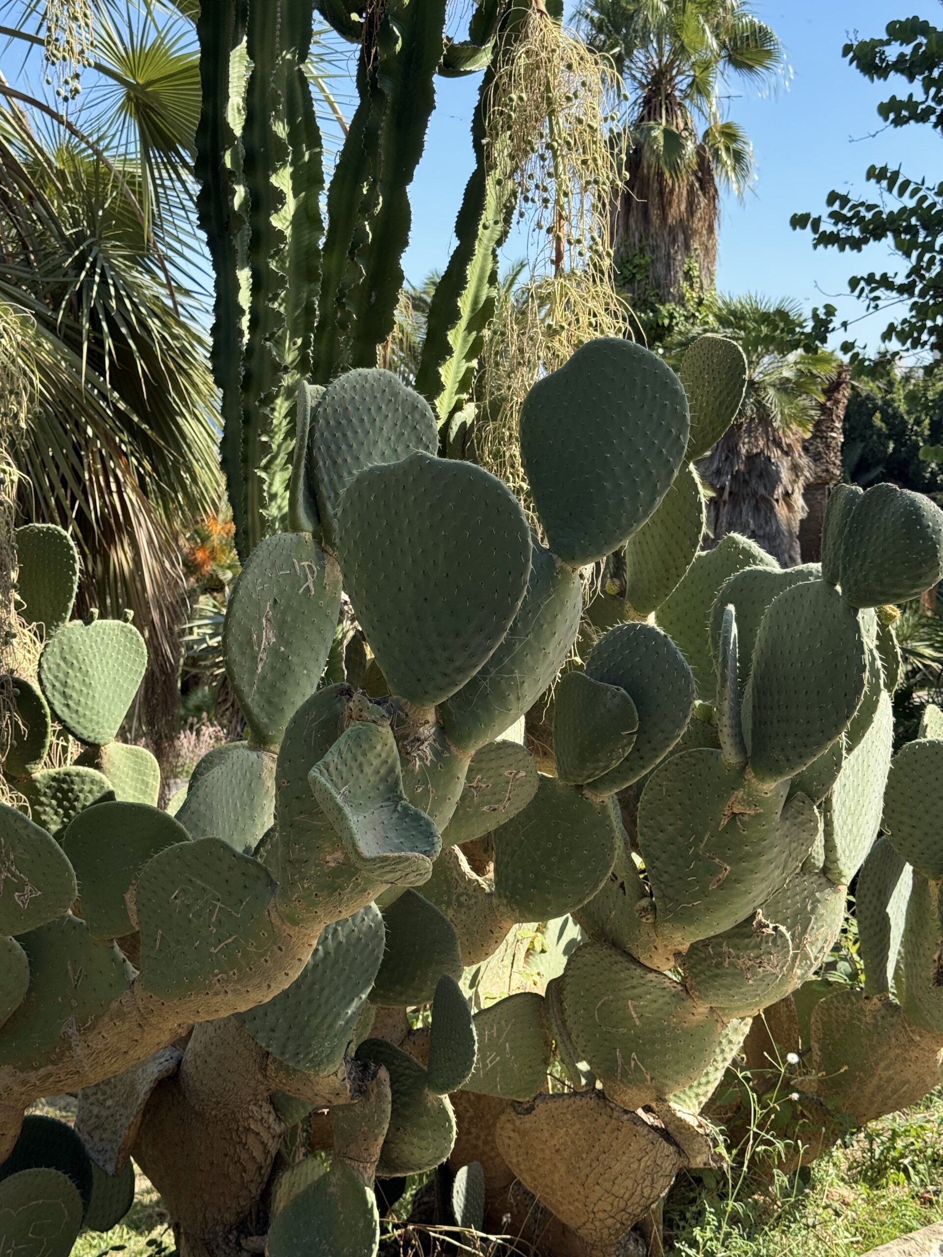 park monzhuik barselona