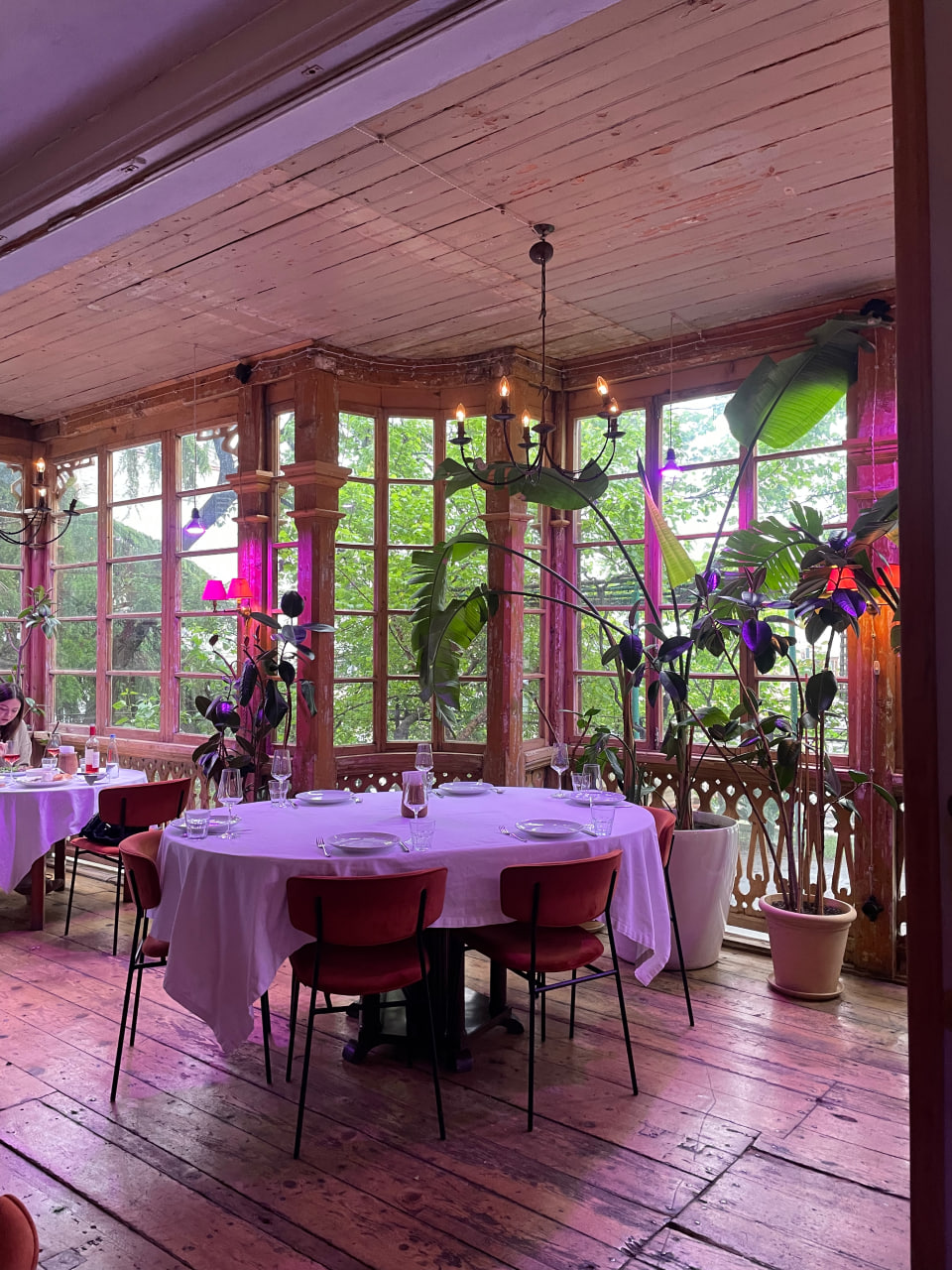 restorany i kafe v tbilisi