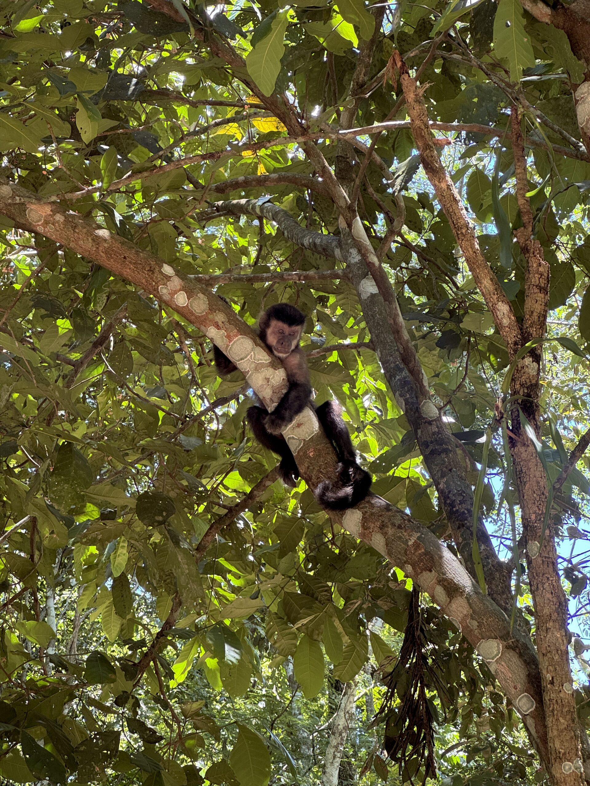 svyaz-i-internet-v-brazilii