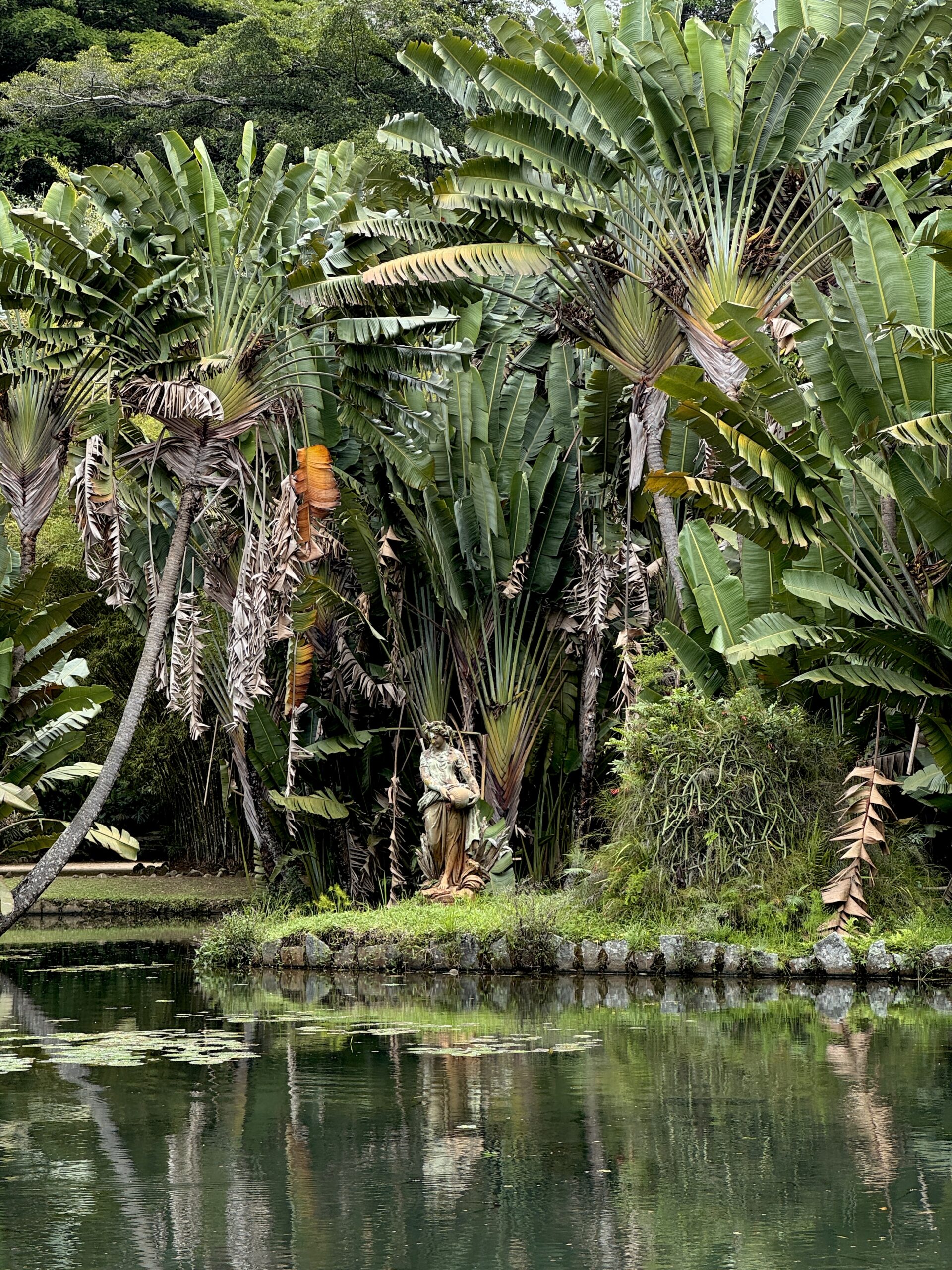 botanicheskyi-sad-rio-de-janeiro