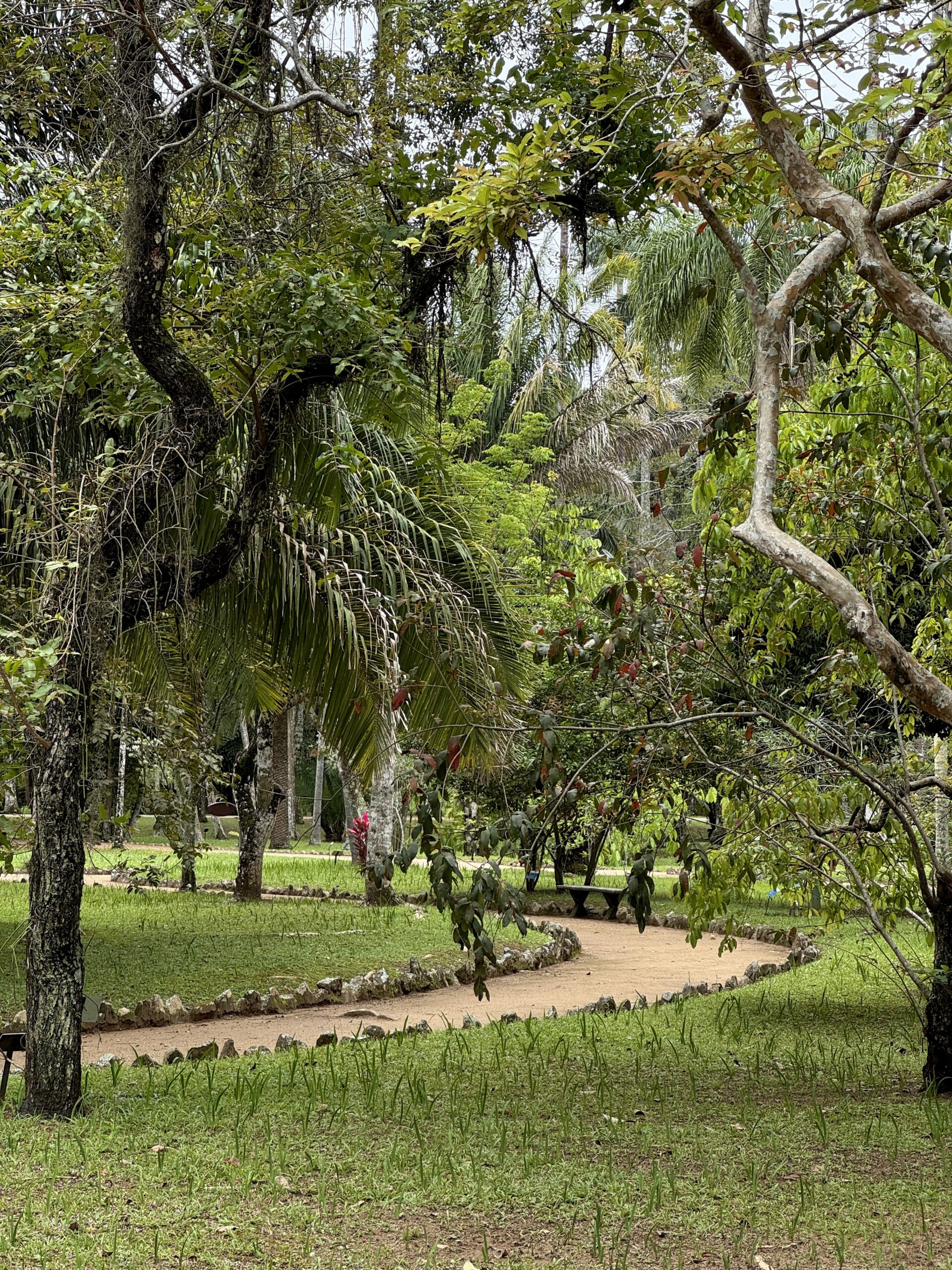 pogoda-rio-de-janeiro