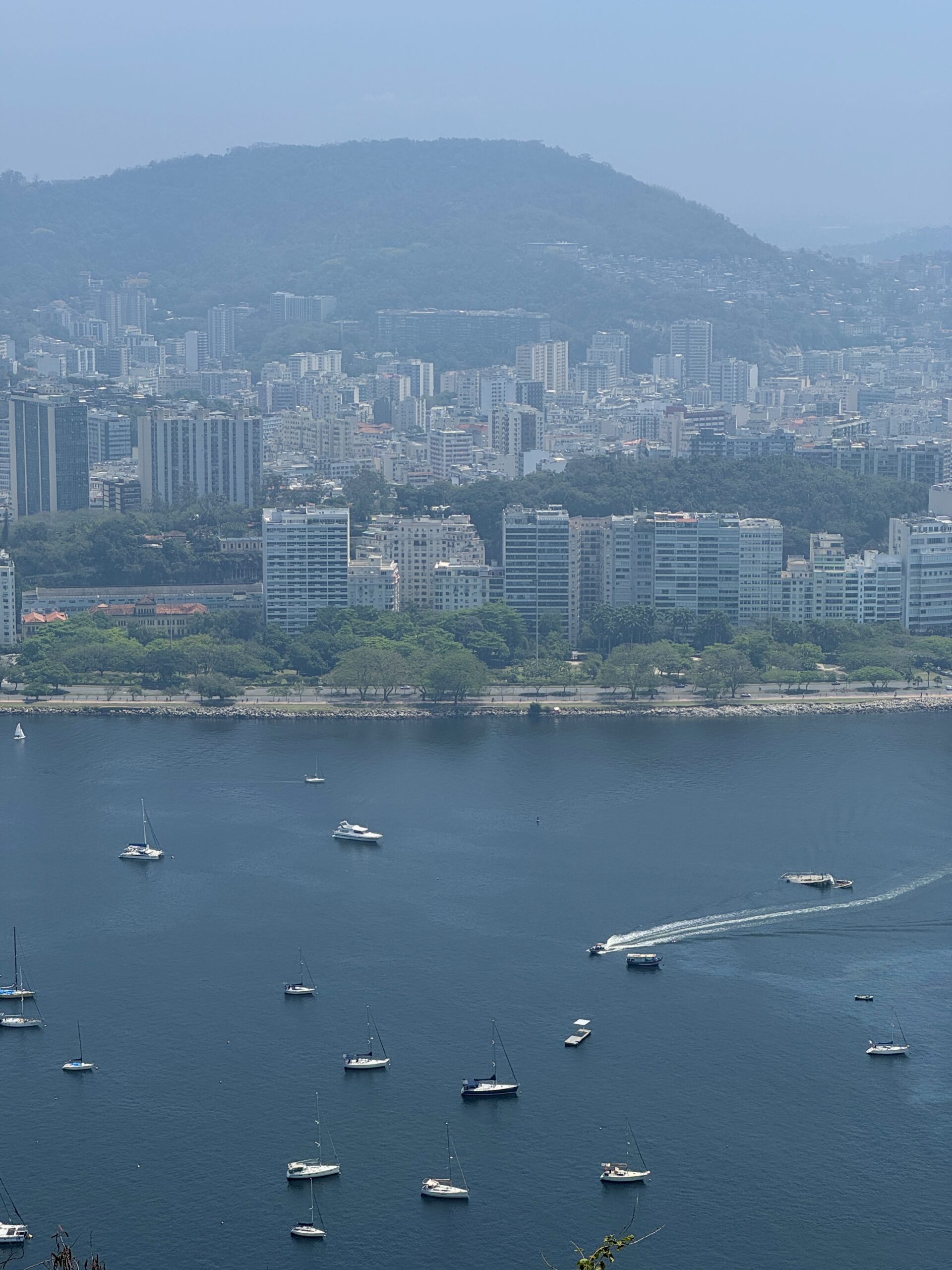 saharnaya-golova-braziliya-foto