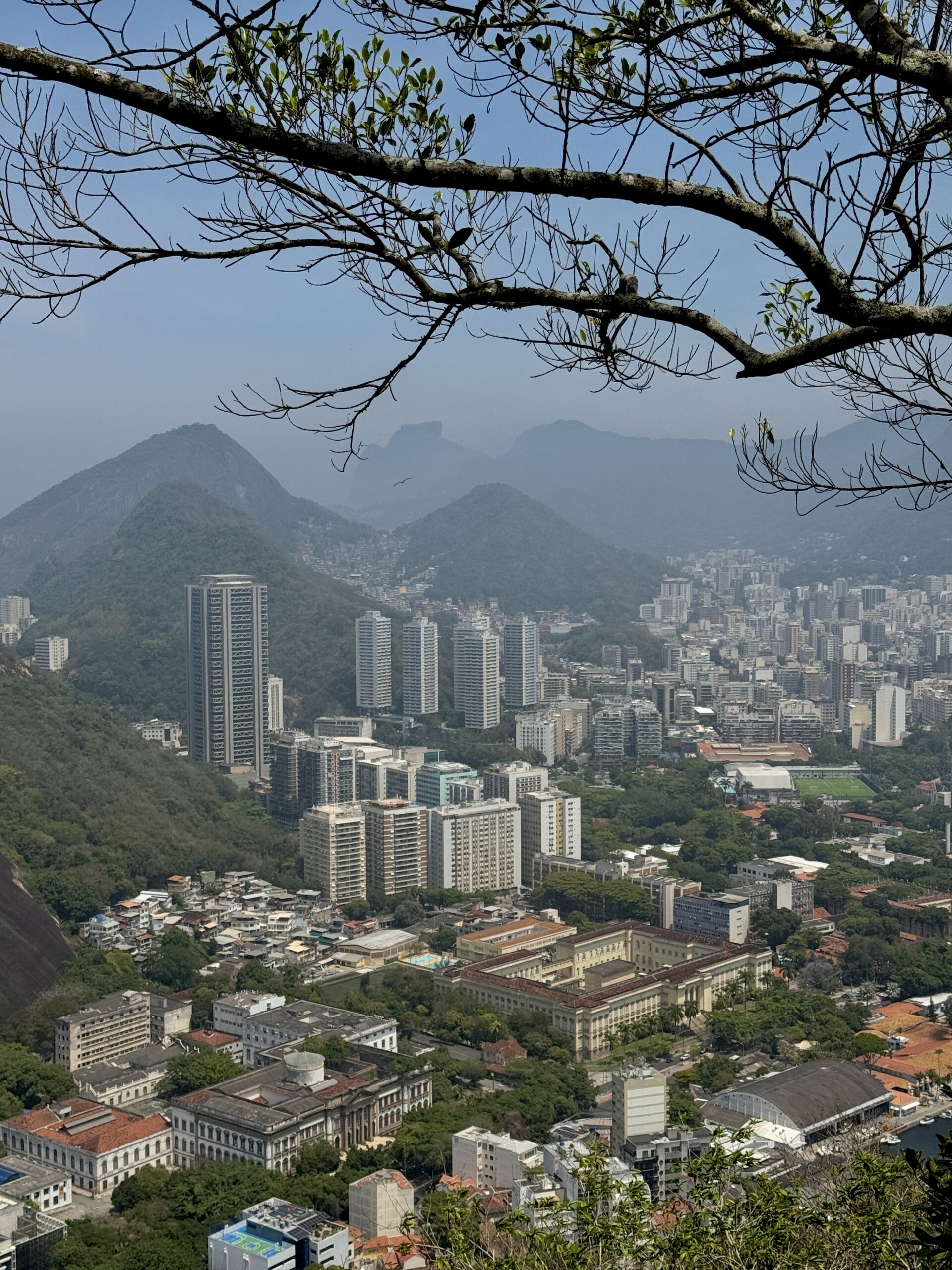 saharnaya-golova-v-rio-de-janeiro