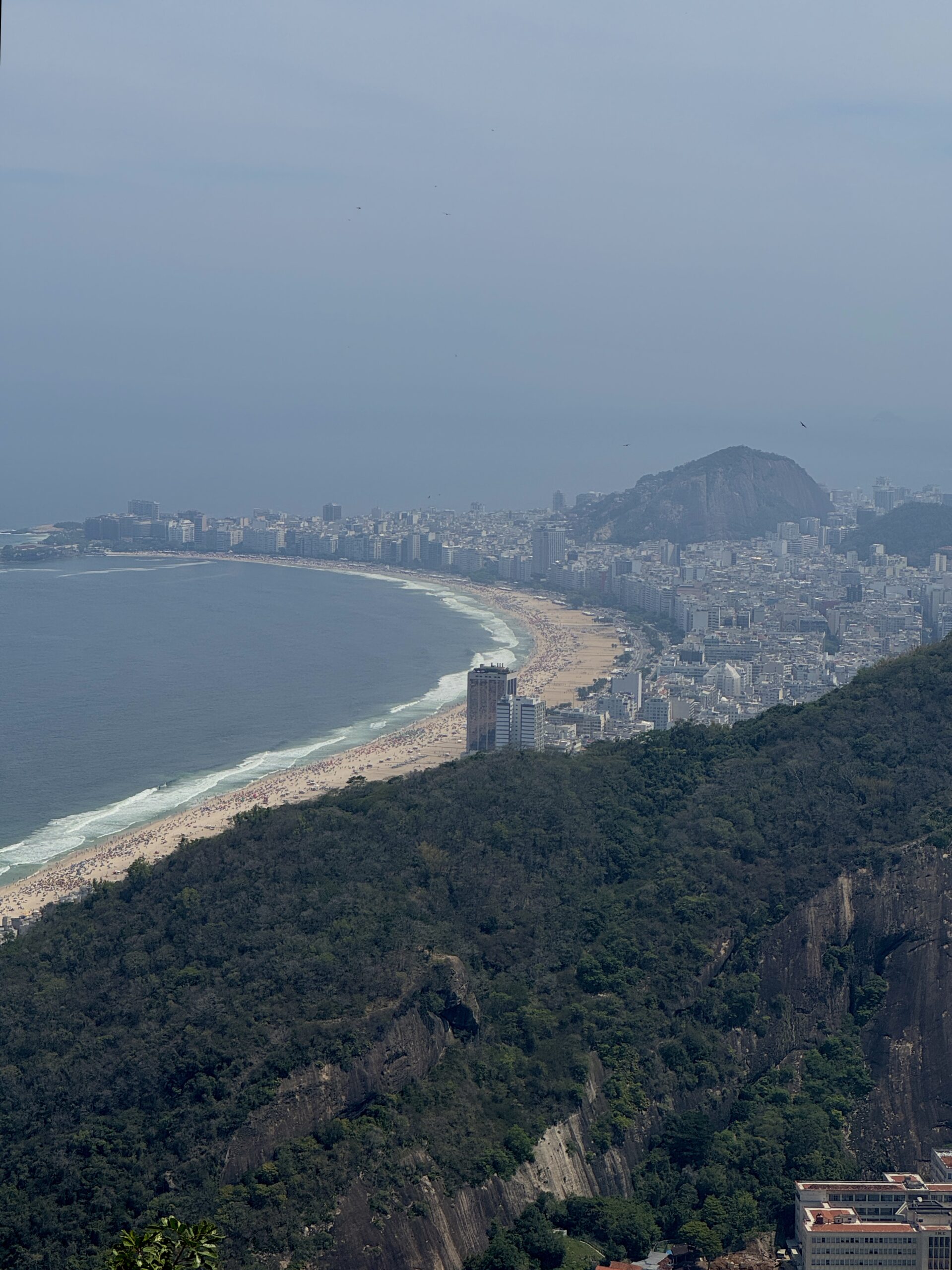 saharnaya-golova-v-rio-de-janeiro-foto