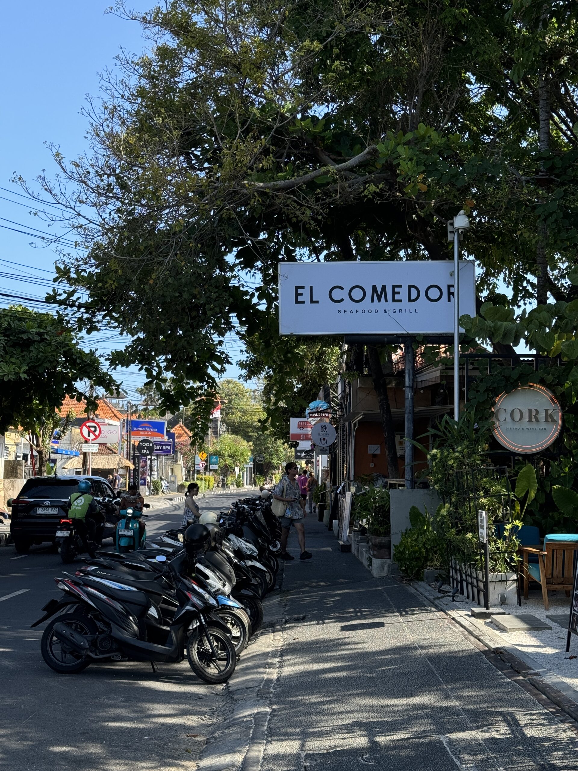 Санур, Бали: подробный путеводитель по району 2 sanur-bali