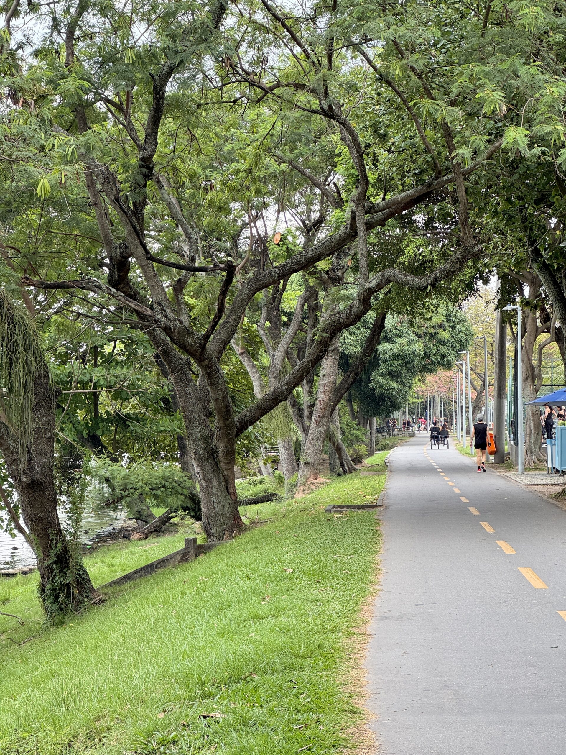 sezony-v-rio-de-janeiro