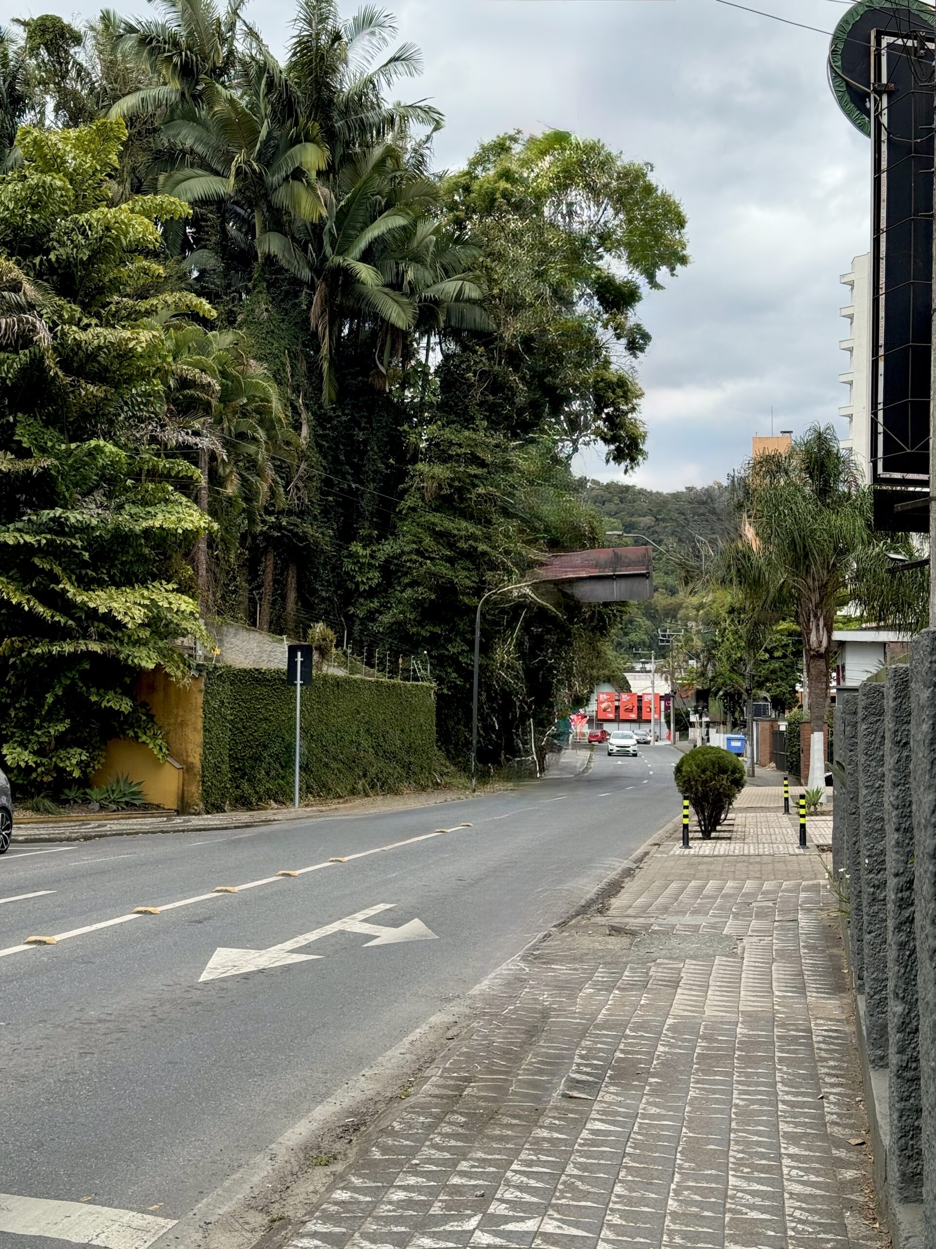 Блуменау, Бразилия: полный гайд по городу 8 Pogoda i klimat v Blumenau Braziliya