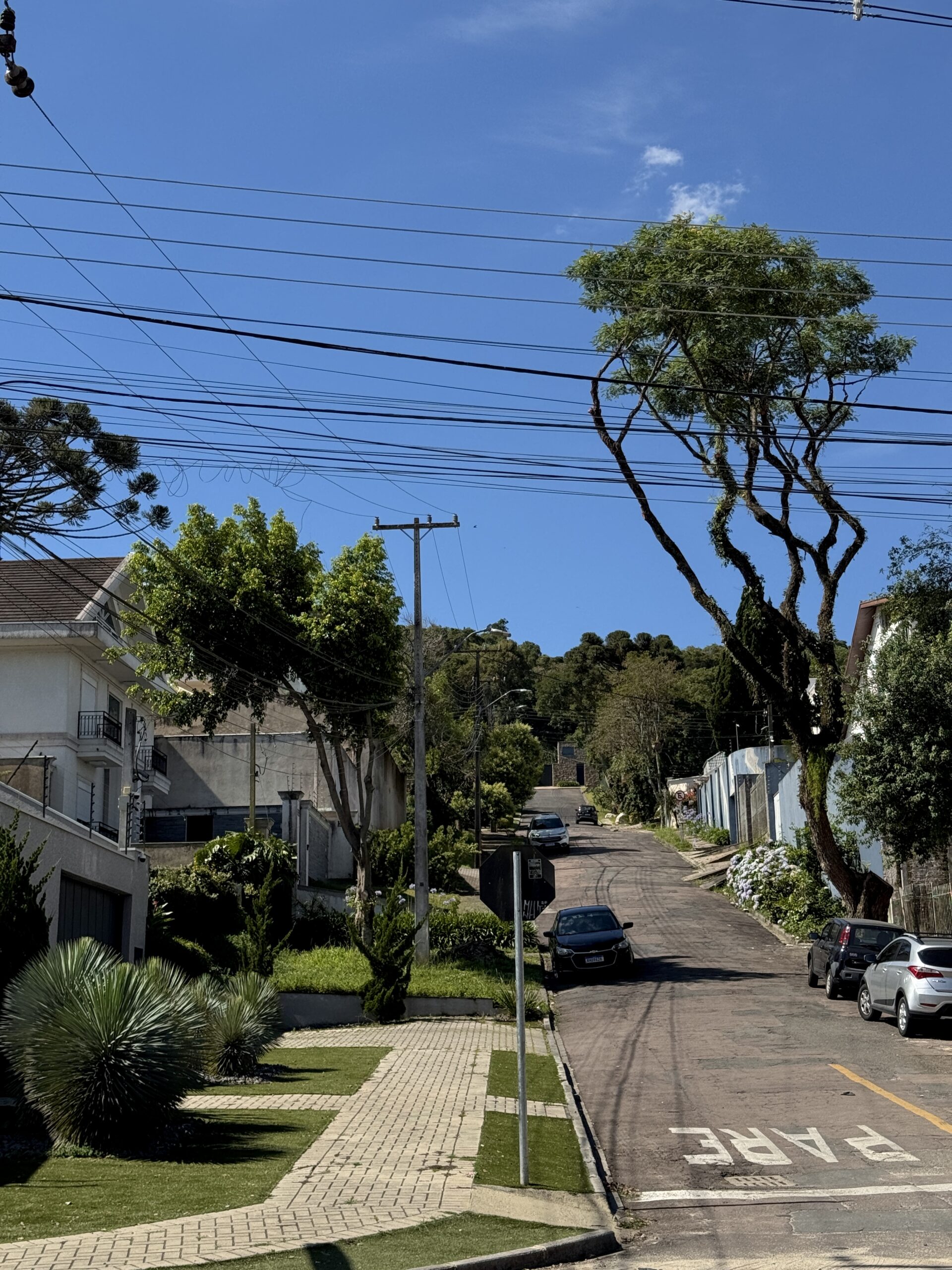 Kuritiba Braziliya stoimost zhizni