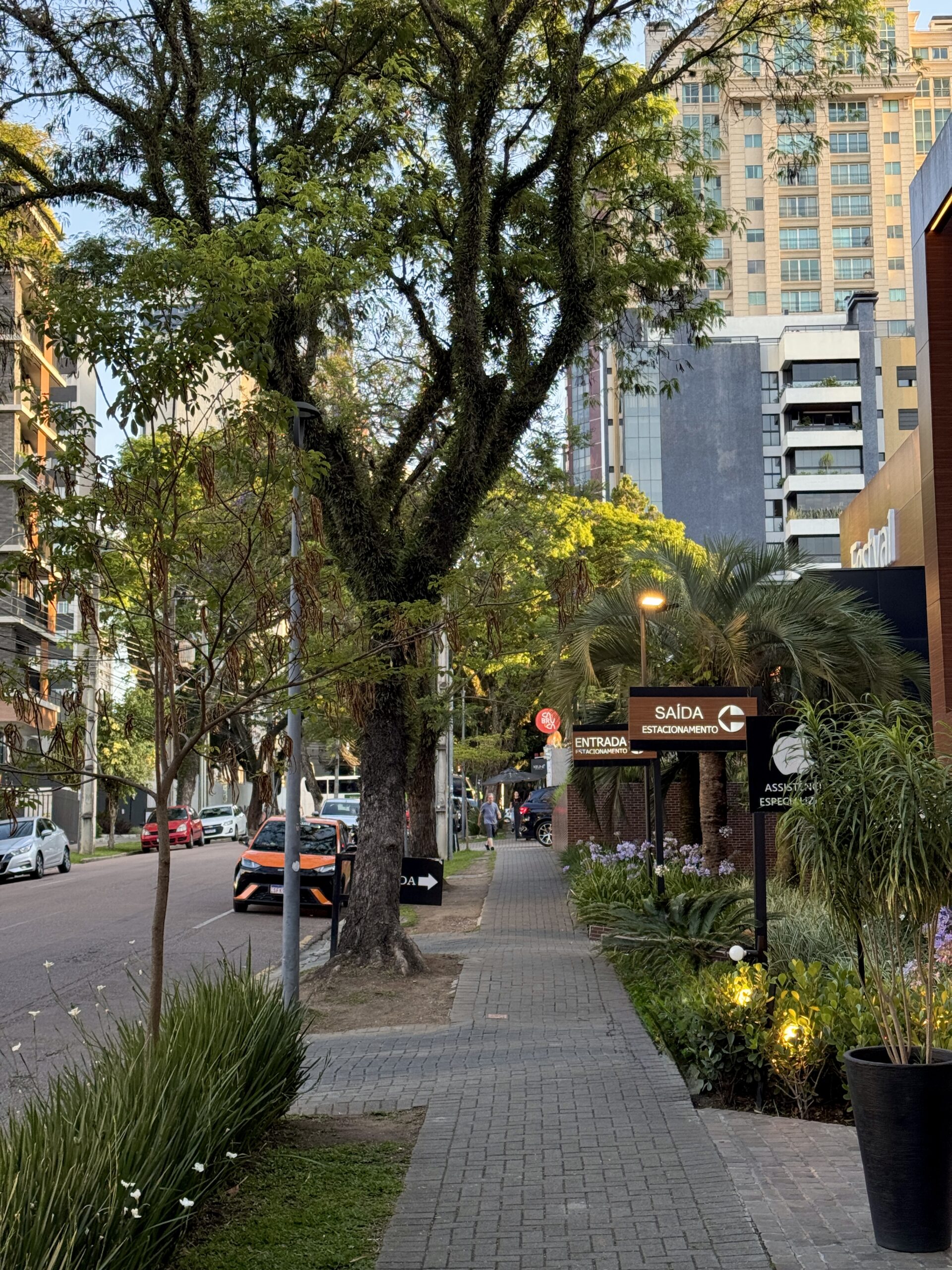 Rajony Kuritiba Braziliya scaled