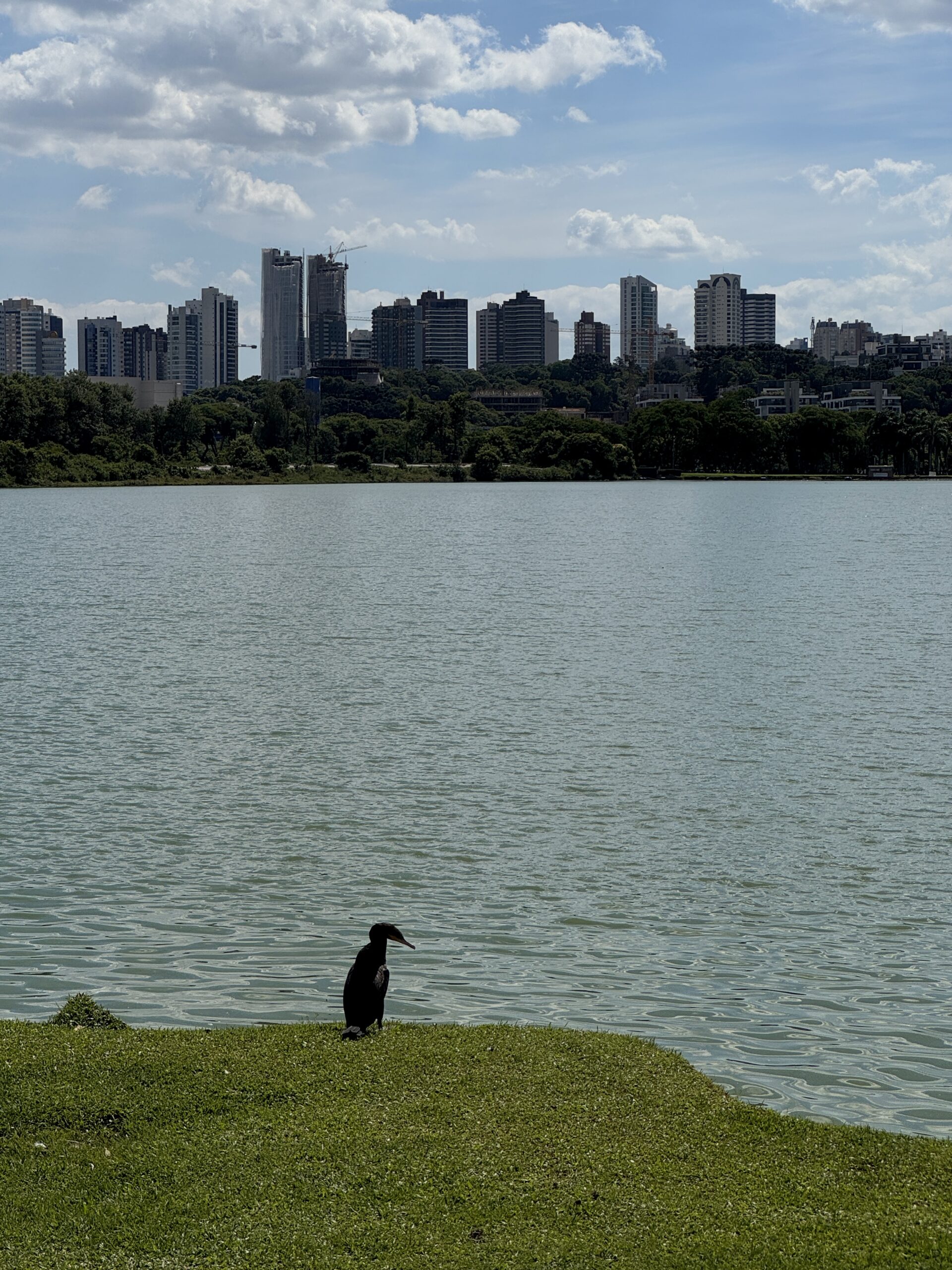 gorod Kuritiba Braziliya