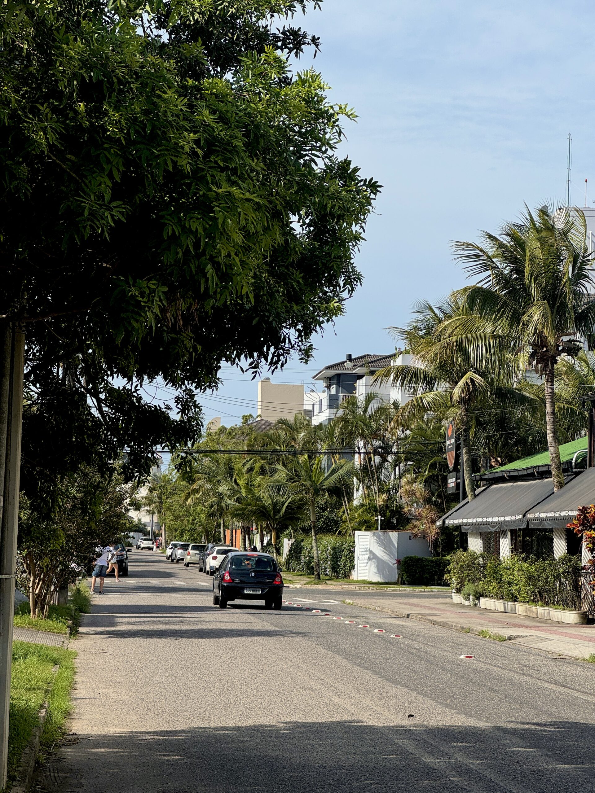 rajon Kampeche Florianopolis
