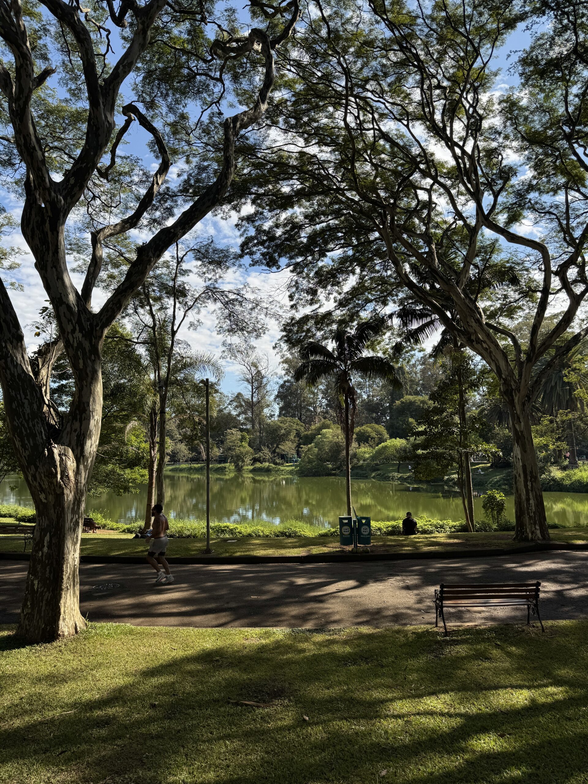 Park Ibirapuera San Paulu