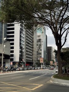 San Paulu Braziliya