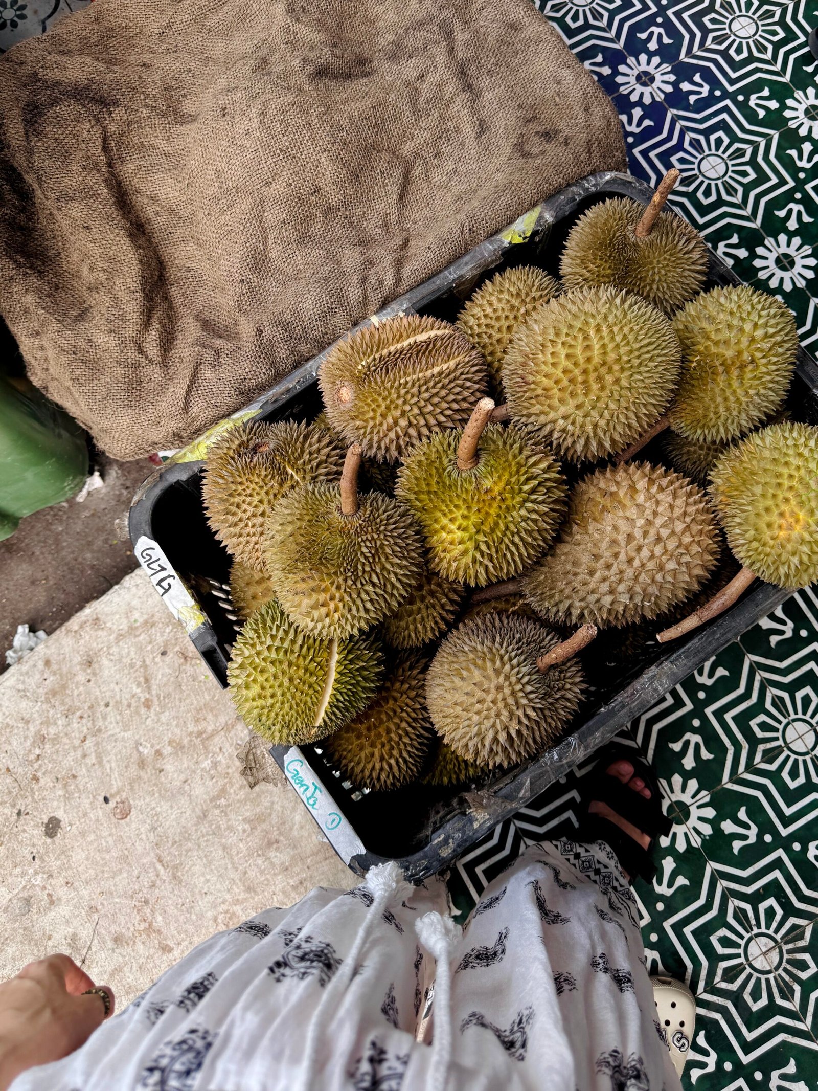Путеводитель по Малайзии: куда ехать, сколько стоит и как остаться 5 Malajziya frukt durian